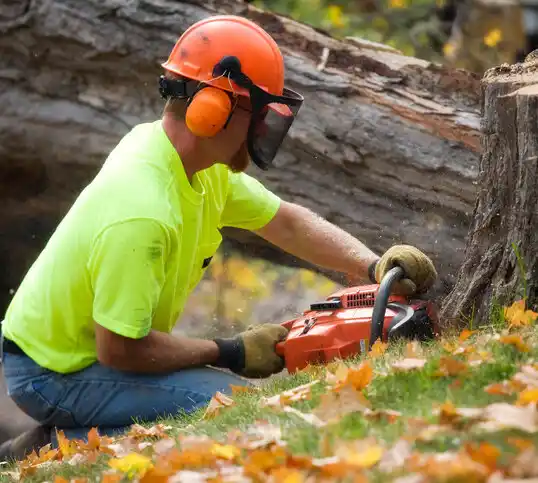 tree services Fiskdale